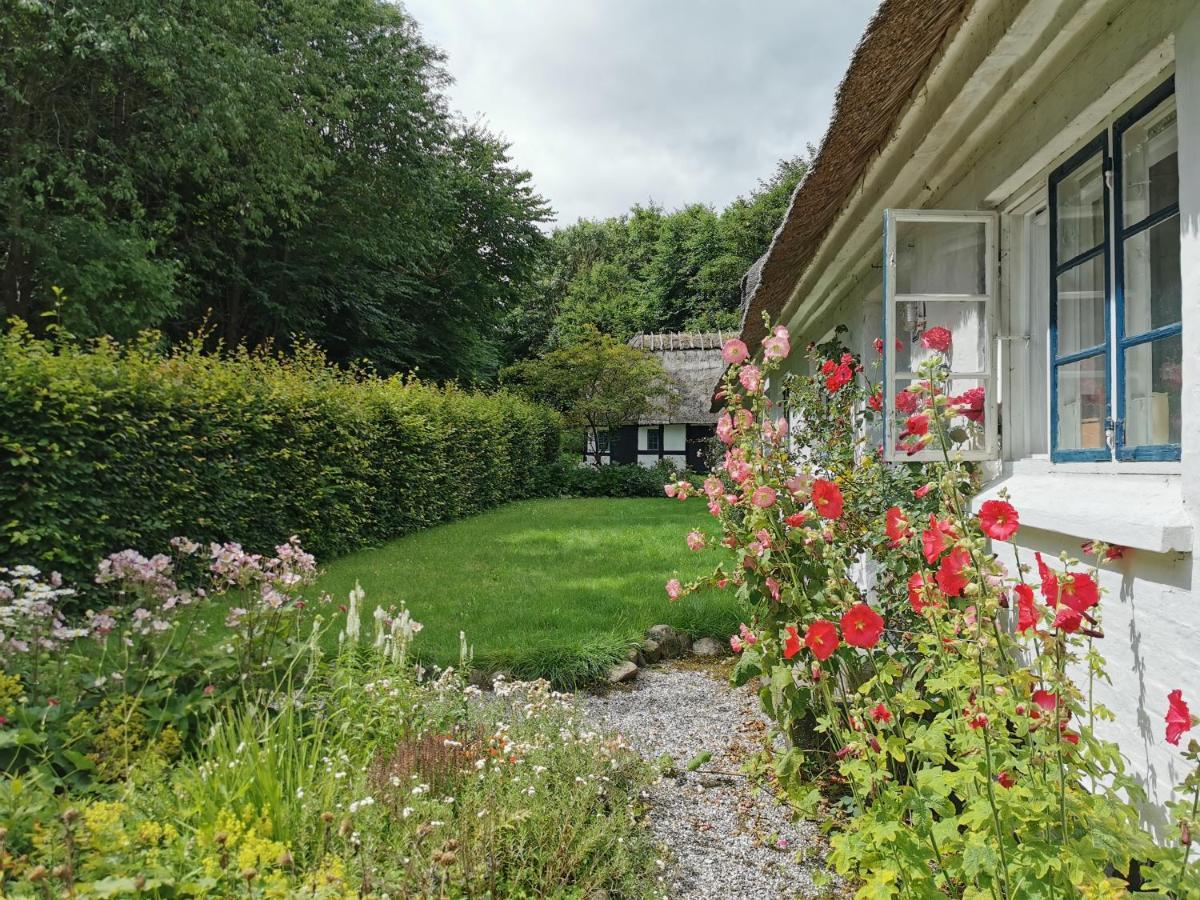 Plantepressen B&B Fåborg Kültér fotó